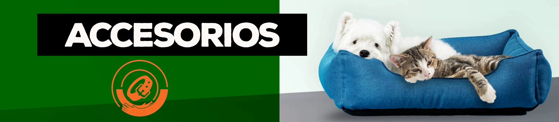 Perro > Accesorios