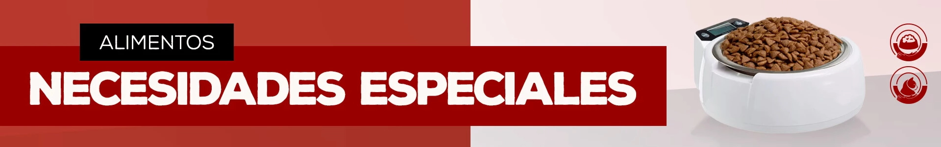 Necesidades especiales > Gato