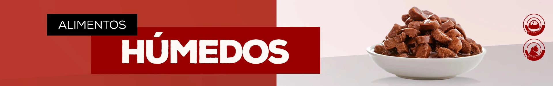 alimentos humedos > gatos