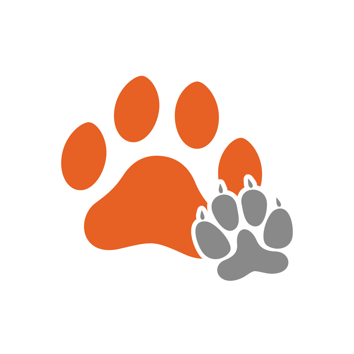 Power Gold Comprimido 1 MES Perro x 10kg a 20kg -Farmacia-