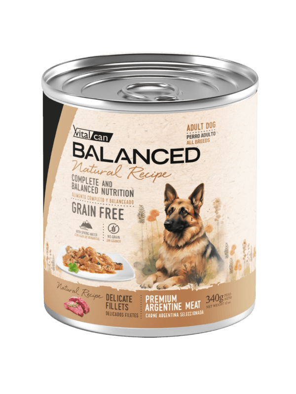 Alimento H�medo Vitalcan Balanced Natural Recipe Perro Adulto Delicados Filetes de Carne Lata x 340gr.