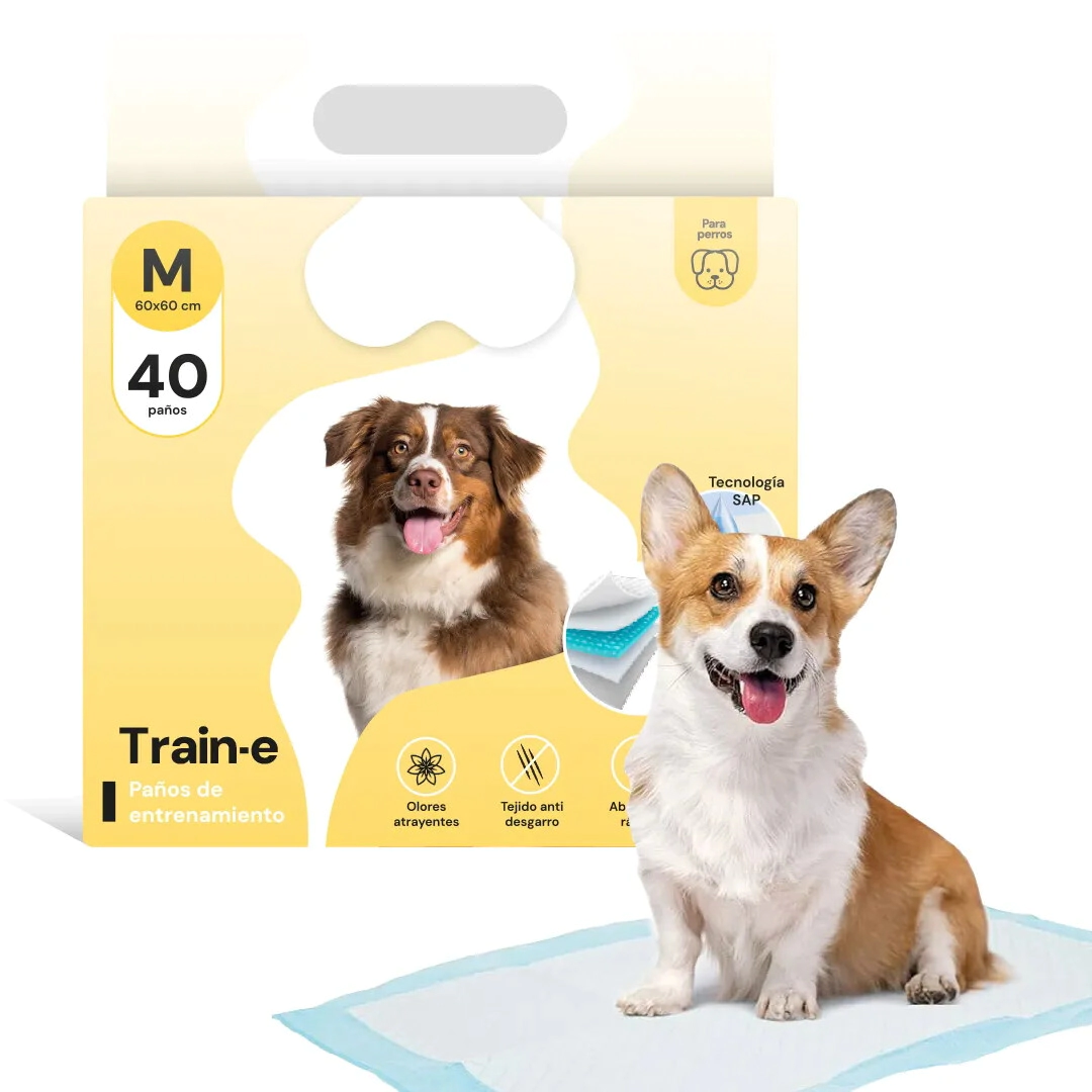 Pa�o Educativo Para Perro Beepaw TRAIN-E MEDIUM 60*60cm x 40 unidades
