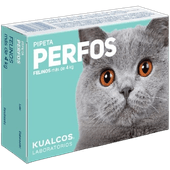 PERFOS FELINO 04-08 GRANDE turquesa -FARMACIA-