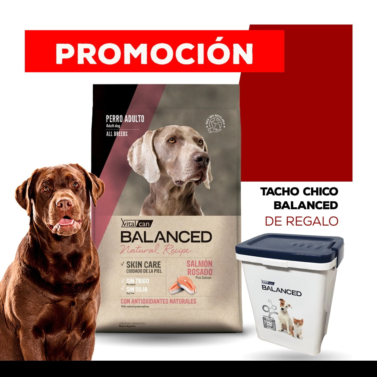 Alimento VitalCan Balanced Natural Recipe Perro Adulto con Salm�n Rosado todos los tama�os x 3kg + TACHO CHICO BALANCED DE REGALO