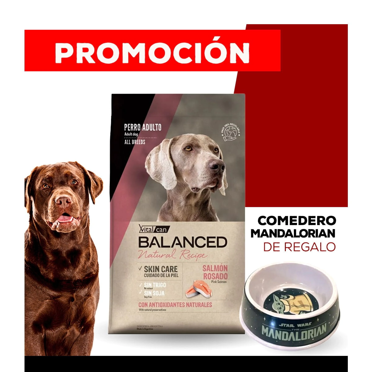 Alimento VitalCan Balanced Natural Recipe Perro Adulto con Salm�n Rosado todos los tama�os x 15kg + COMEDERO MANDALORIAN DE REGALO
