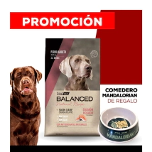 Alimento VitalCan Balanced Natural Recipe Perro Adulto con Salm�n Rosado todos los tama�os x 15kg + COMEDERO MANDALORIAN DE REGALO