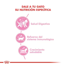 Alimento Royal Canin Gato Kitten x 1,5kg