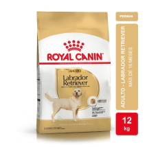 Alimento Royal Canin Perro Adulto Labrador Retriever x 12kg