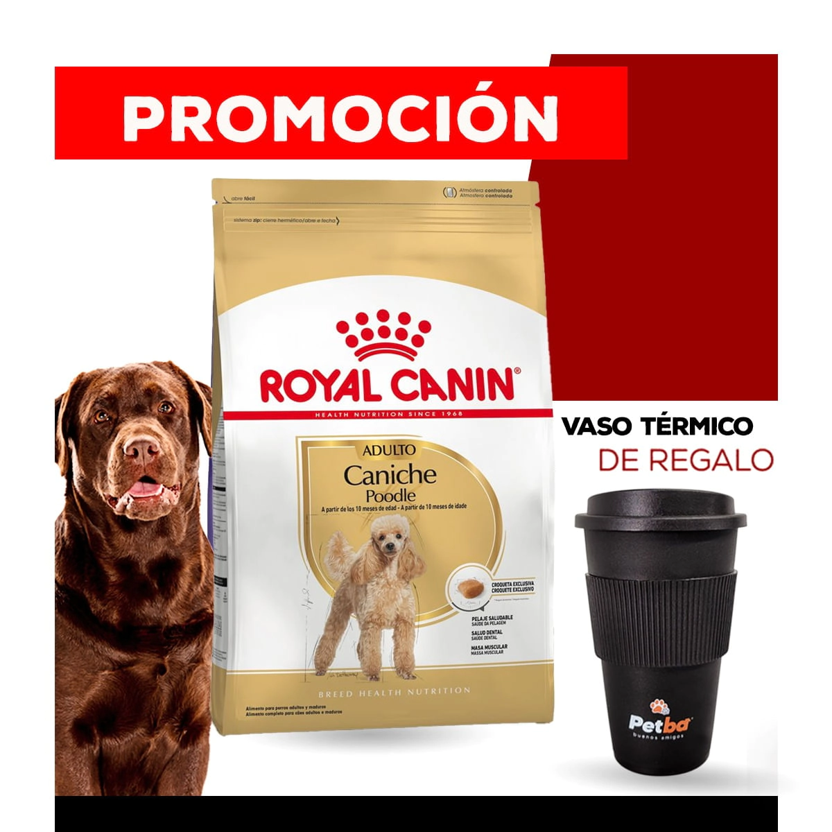 Alimento Royal Canin Perro Adulto Poodle Caniche x 7,5kg + VASO T�RMICO PETBA DE REGALO