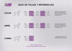 Arn&eacute;s Premium Vital Fun Perro Talle M-L Minnie Mouse