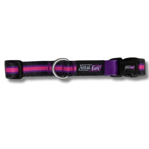 Collar Vital Fun Pets Rock Minimal Black Gato
