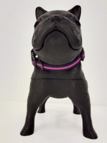 Collar Vital Fun Pets Rock Minimal Perro Talle XS-S