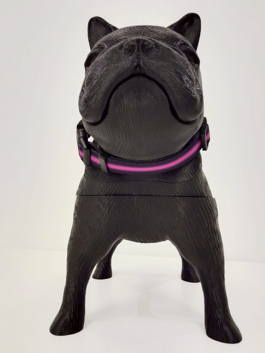 Collar Vital Fun Pets Rock Minimal Perro Talle M-L