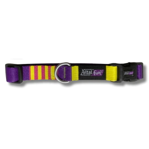 Collar Vital Fun Pets Rock Pop Art Gato