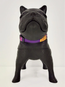 Collar Vital Fun Pets Rock Pop Art Perro Talle XS-S