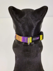 Collar Vital Fun Pets Rock Pop Art Perro Talle M-L