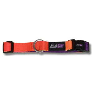 Collar Vital Fun Pets Rock Geo Fluo Perro Talle XXS-XS