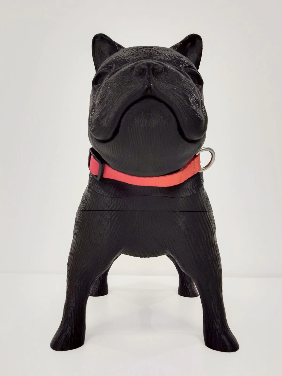 Collar Vital Fun Pets Rock Geo Fluo Perro Talle S-M