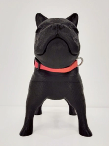 Collar Vital Fun Pets Rock Geo Fluo Perro Talle S-M