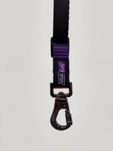 Correa Clasica Vital Fun Minimal Black Perro Talle S