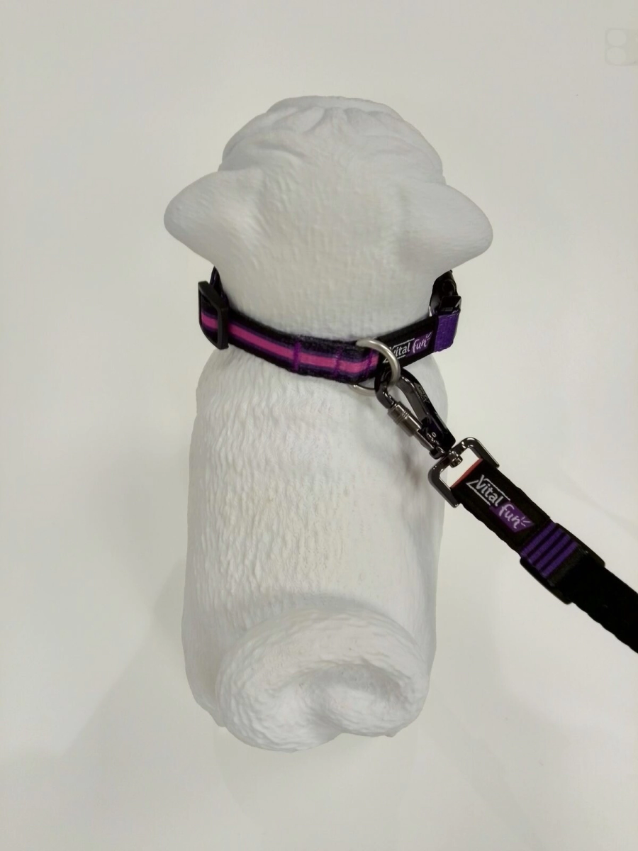 Correa Clasica Vital Fun Minimal Black Perro Talle M