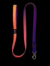 Correa Clasica Vital Fun Geo Fluo Perro Talle M