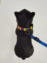 Correa Manos Libres Vital Fun Pop Art Perro