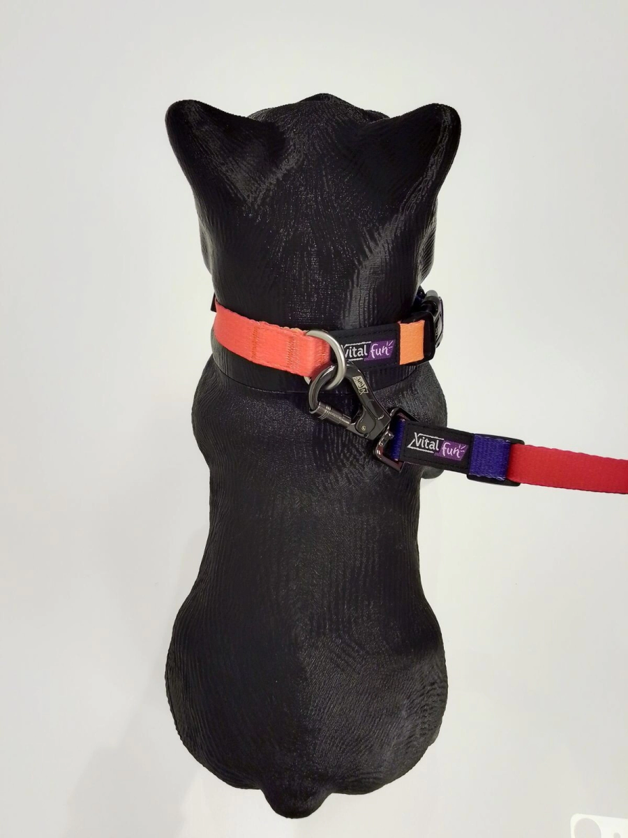 Correa Manos Libres Vital Fun Geo Fluo Perro