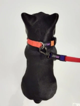 Correa Manos Libres Vital Fun Geo Fluo Perro