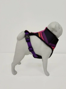 Arn&eacute;s Pechera Vital Fun Pets Rock Minimal Perro Talle XXS-XS
