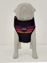 Arn&eacute;s Pechera Vital Fun Pets Rock Minimal Perro Talle S-M