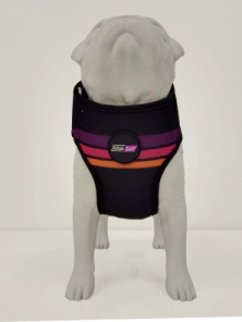 Arn&eacute;s Pechera Vital Fun Pets Rock Minimal Perro Talle S-M