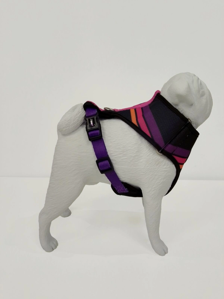 Arn�s Pechera Vital Fun Pets Rock Minimal Perro Talle M-L