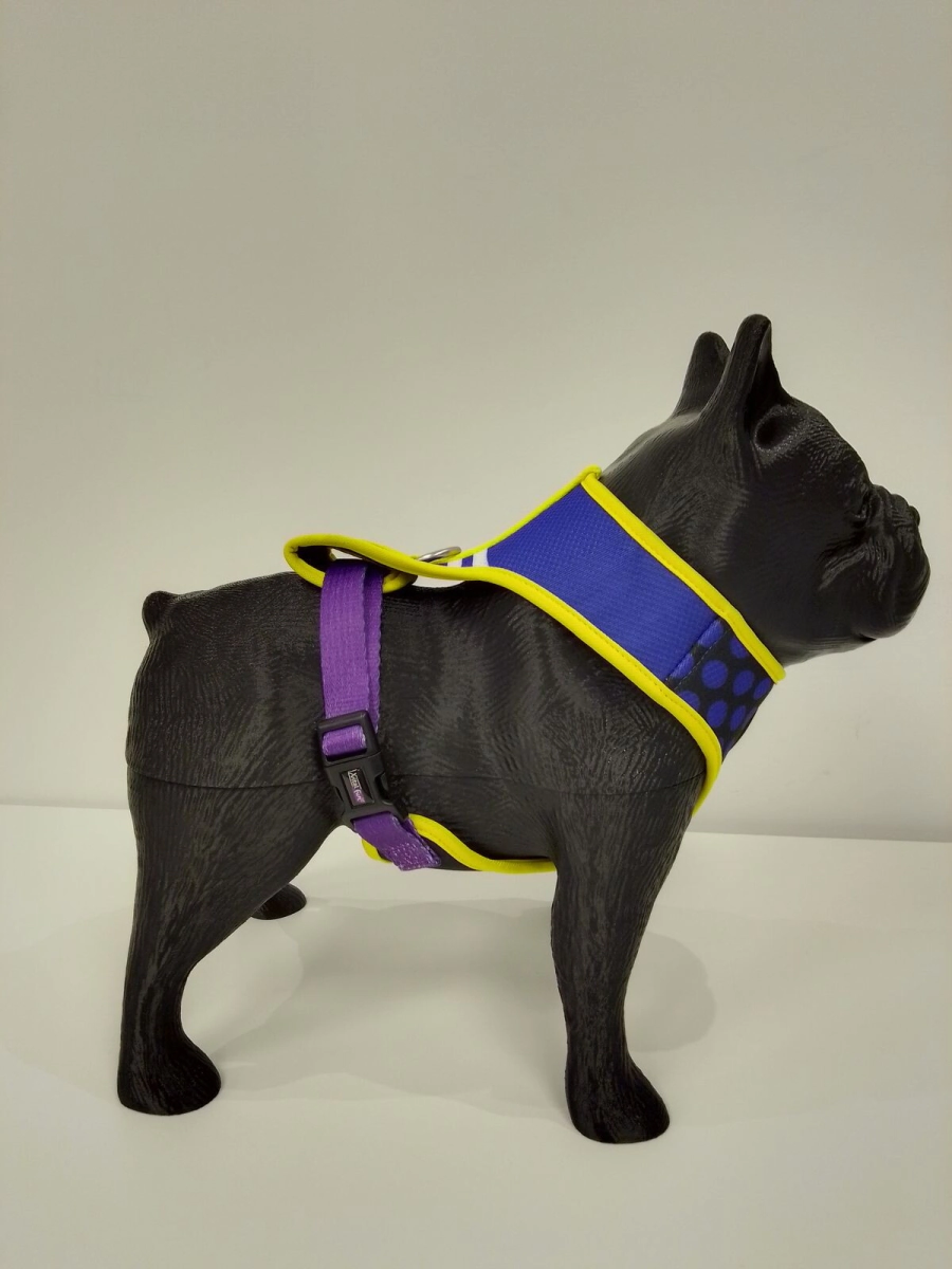 Arn�s Pechera Vital Fun Pets Rock Pop Art Perro Talle XS-S