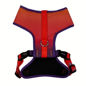 Arn&eacute;s Pechera Vital Fun Pets Rock Geo Fluo Perro Talle XXS-XS