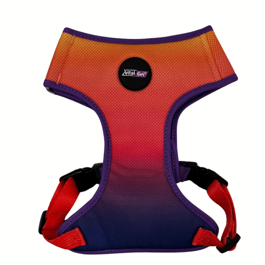 Arn�s Pechera Vital Fun Pets Rock Geo Fluo Perro Talle M-L