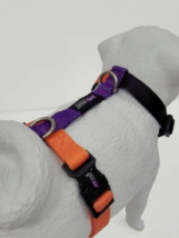 Arn&eacute;s Vital Fun Pets Rock Minimal Perro Talle XS-S