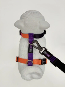 Arn&eacute;s Vital Fun Pets Rock Minimal Perro Talle M-L