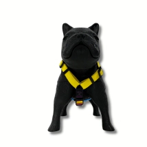 Arn&eacute;s Vital Fun Pets Rock Pop Art Perro Talle XS-S