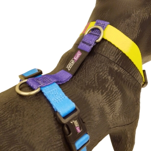 Arn&eacute;s Vital Fun Pets Rock Pop Art Perro Talle XS-S