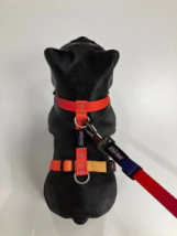 Arn&eacute;s Vital Fun Pets Rock Geo Fluo Perro Talle XS-S