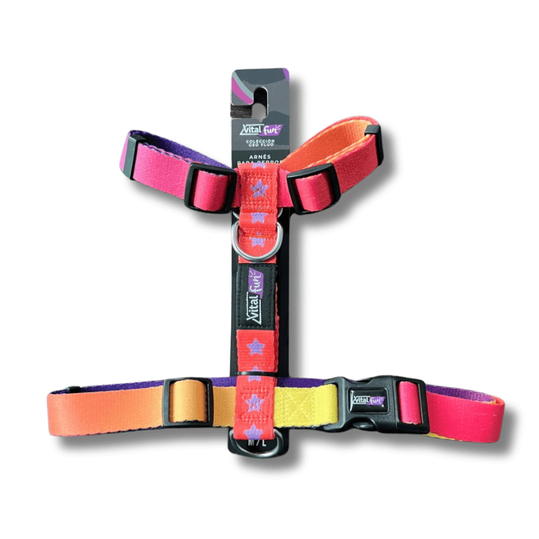 Arn�s Vital Fun Pets Rock Geo Fluo Perro Talle M-L