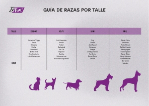 Arn&eacute;s Reversible Premium Vital Fun Perro Talle M-L Disney Villains