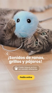 Juguete Beepaw Peluche Interactivo Gatos Sonido Rana FROG-E
