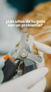 Corta U&ntilde;as Beepaw Perro y Gato CUT-E (CELESTE)