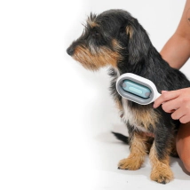 Cepillo Doble Pelo Corto Beepaw Perro y Gato BRUSH-E (CELESTE)