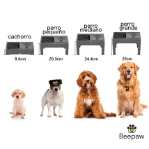 Comedero con Altura Ajustable Beepaw Bowl-E Negro Perro