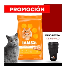Alimento Iams Gato Adulto Chicken x 15kg + VASO T�RMICO PETBA DE REGALO