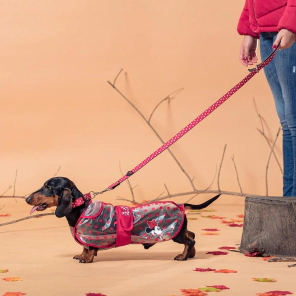 Piloto Lluvia Impermeable Ajustable Perro Minnie Marvel TALLE M