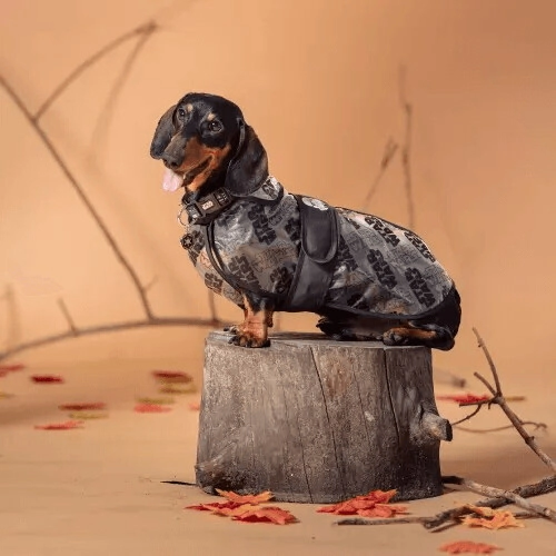 Piloto Lluvia Impermeable Ajustable Perro Star Wars Marvel TALLE M